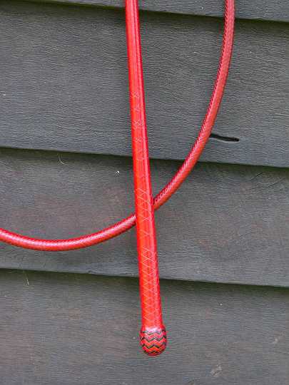 P1180142.JPG - Close up of red handle